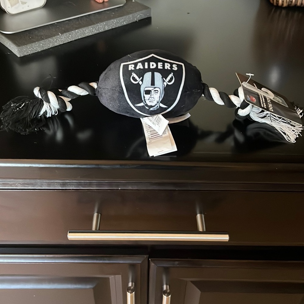 NFL Raiders Dog Toy